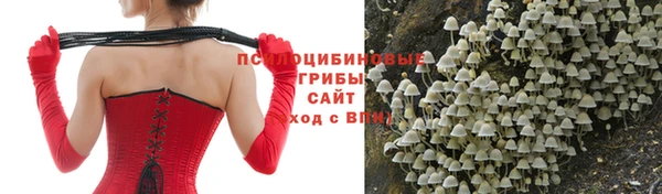 герыч Лагань