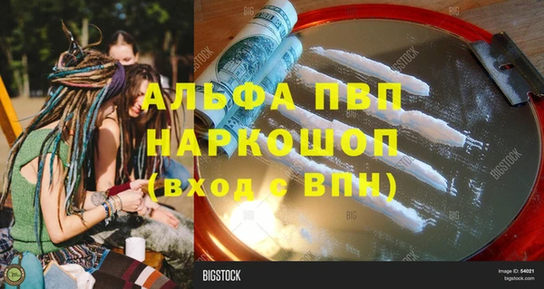 спиды Ладушкин