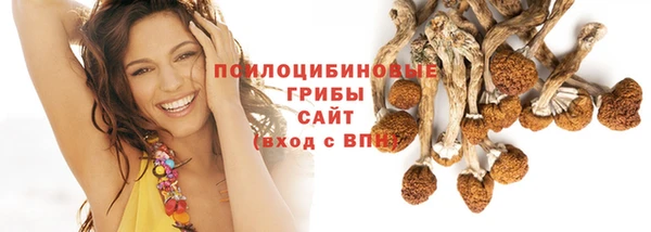 ГАЛЛЮЦИНОГЕННЫЕ ГРИБЫ Лабытнанги