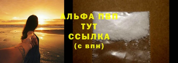 спиды Ладушкин