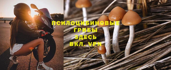 герыч Лагань