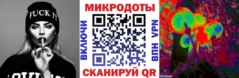 Псилоцибиновые грибы Psilocybe Нахабино