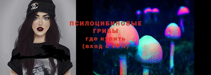 Галлюциногенные грибы Magic Shrooms  Нахабино 